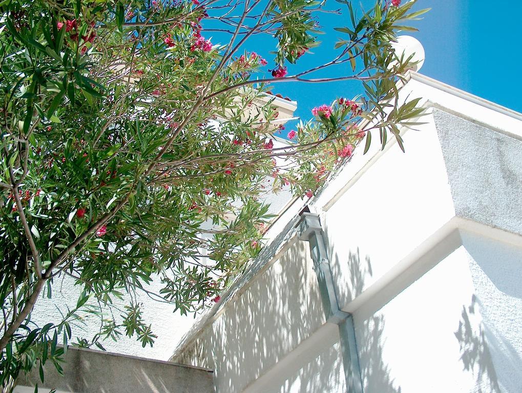 Villa Blanka Donji Okrug  Δωμάτιο φωτογραφία