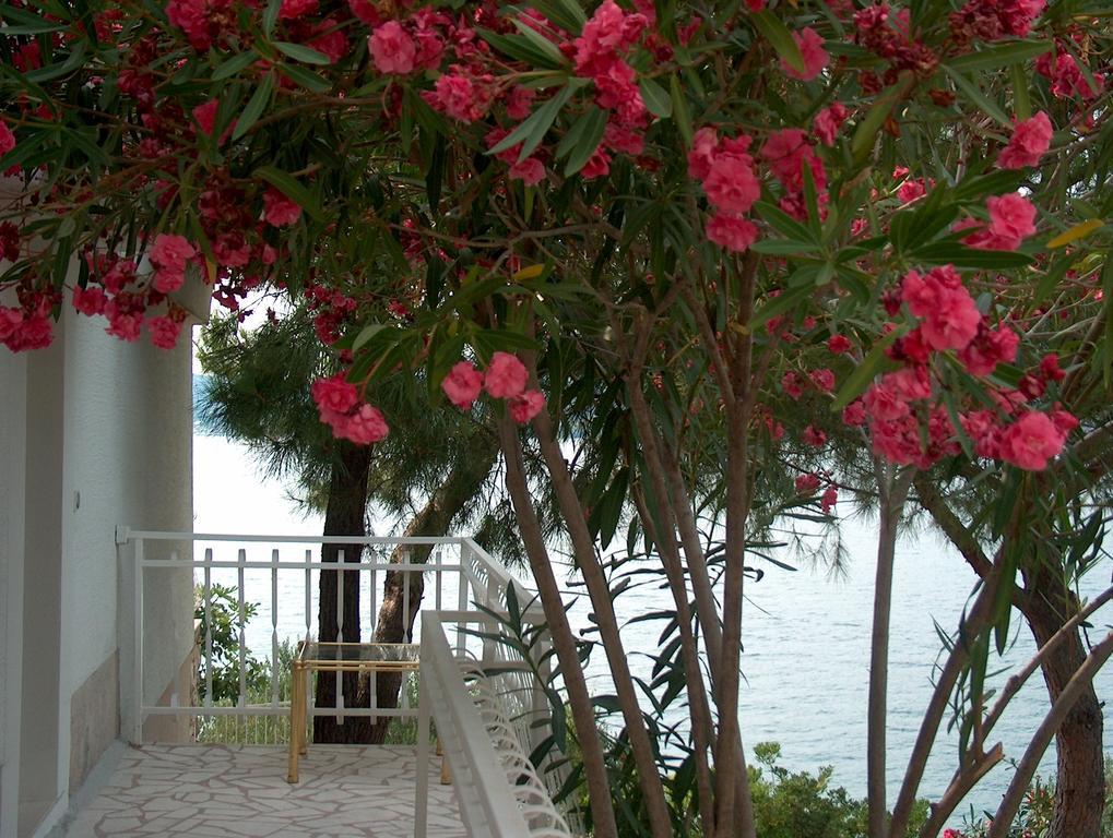 Villa Blanka Donji Okrug  Δωμάτιο φωτογραφία
